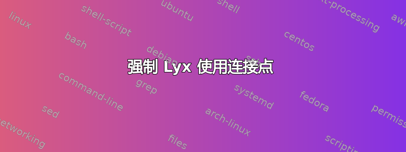 强制 Lyx 使用连接点