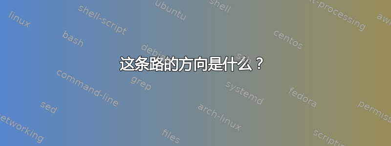 这条路的方向是什么？