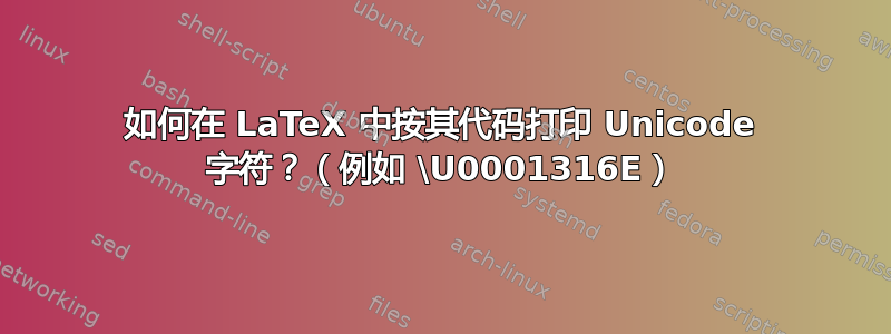 如何在 LaTeX 中按其代码打印 Unicode 字符？（例如 \U0001316E）