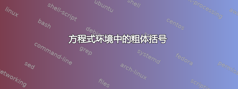 方程式环境中的粗体括号