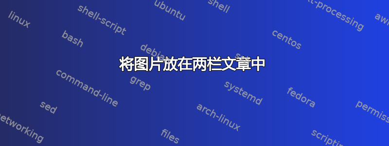 将图片放在两栏文章中