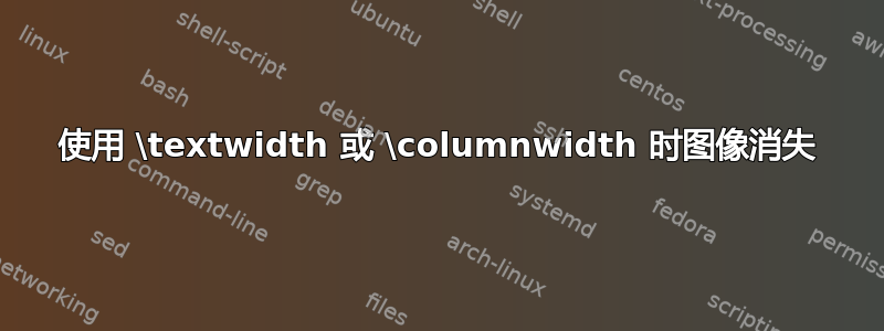 使用 \textwidth 或 \columnwidth 时图像消失