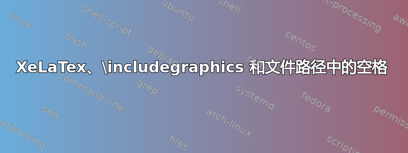 XeLaTex、\includegraphics 和文件路径中的空格