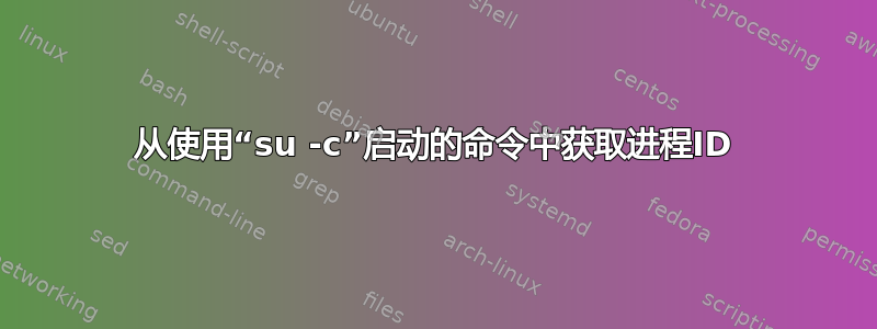 从使用“su -c”启动的命令中获取进程ID