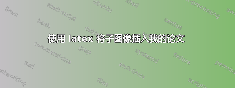 使用 latex 将子图像插入我的论文