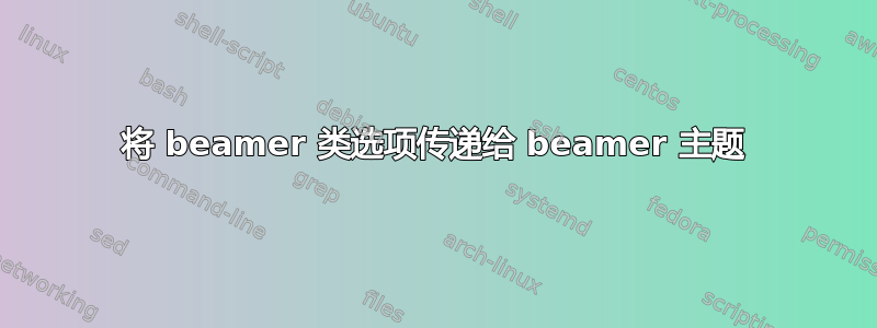 将 beamer 类选项传递给 beamer 主题