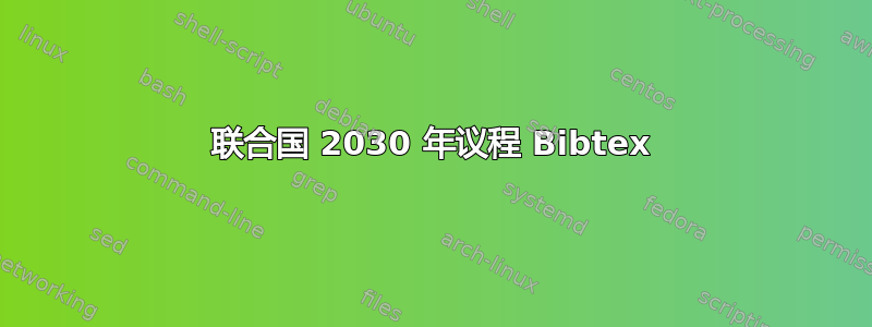 联合国 2030 年议程 Bibtex