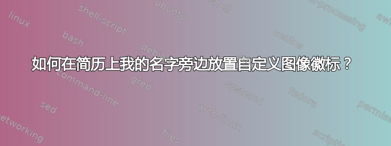 如何在简历上我的名字旁边放置自定义图像徽标？