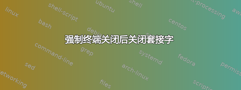 强制终端关闭后关闭套接字