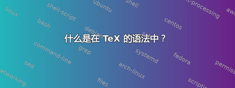 什么是在 TeX 的语法中？