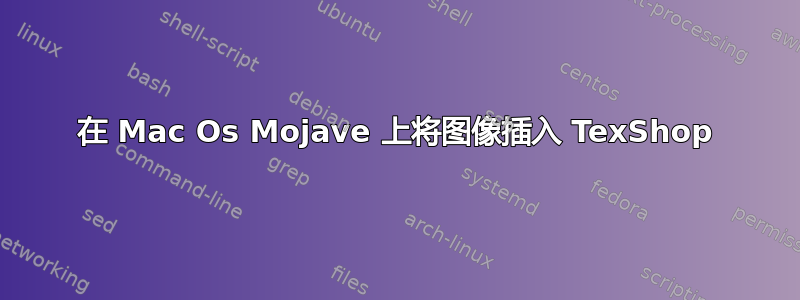 在 Mac Os Mojave 上将图像插入 TexShop