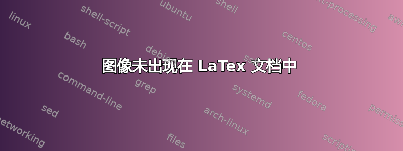 图像未出现在 LaTex 文档中