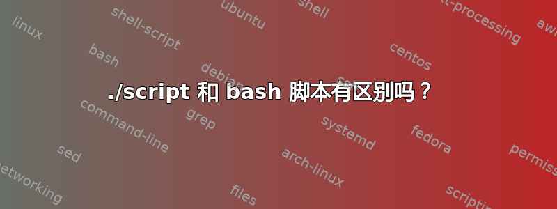 ./script 和 bash 脚本有区别吗？ 