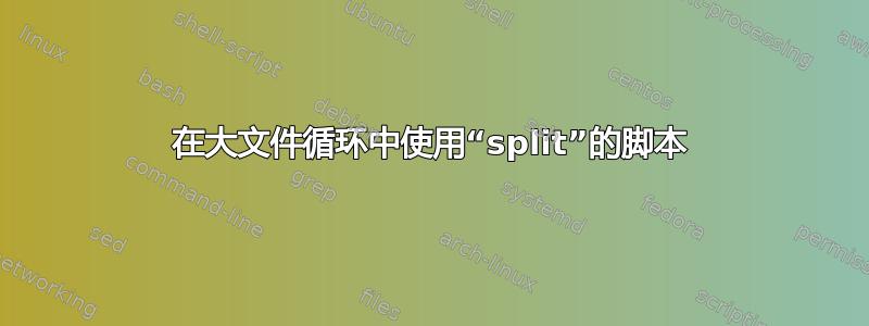 在大文件循环中使用“split”的脚本