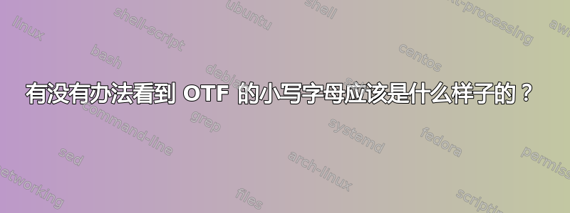 有没有办法看到 OTF 的小写字母应该是什么样子的？