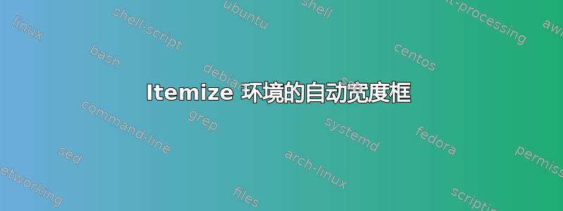 Itemize 环境的自动宽度框