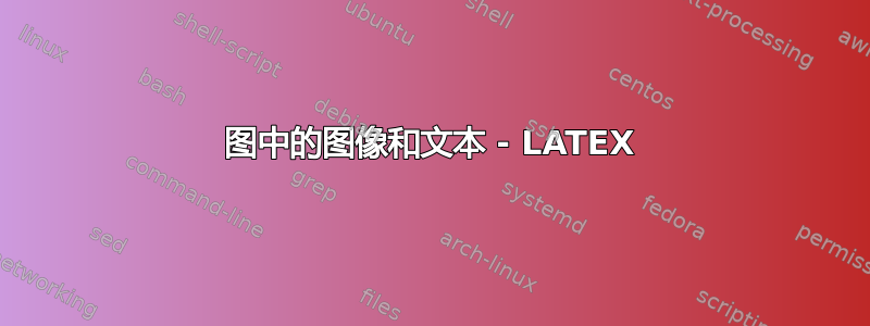 图中的图像和文本 - LATEX