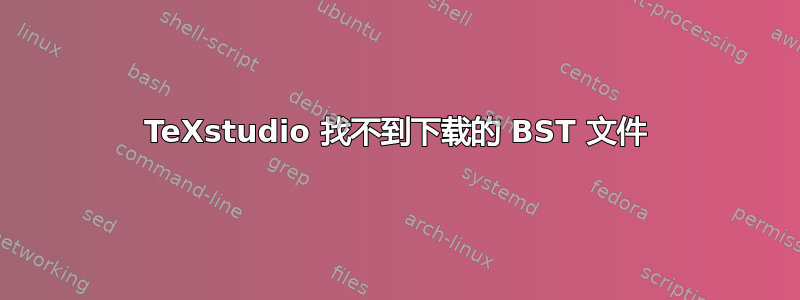 TeXstudio 找不到下载的 BST 文件