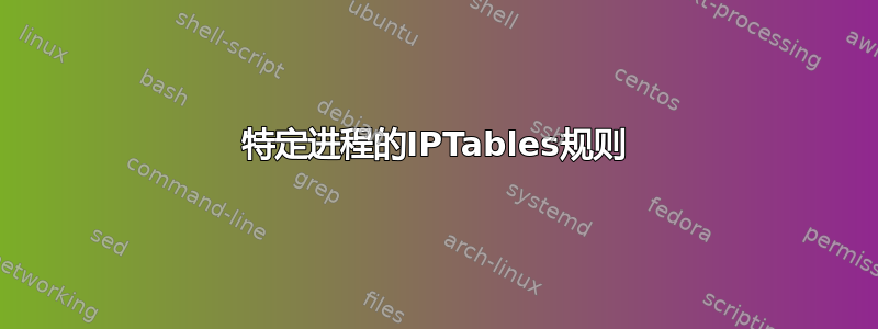 特定进程的IPTables规则