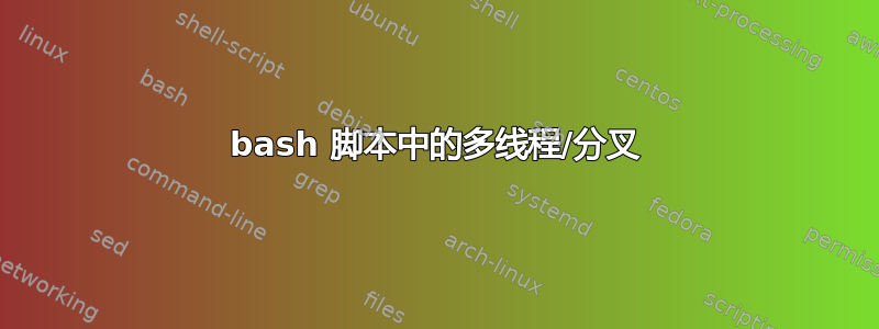 bash 脚本中的多线程/分叉