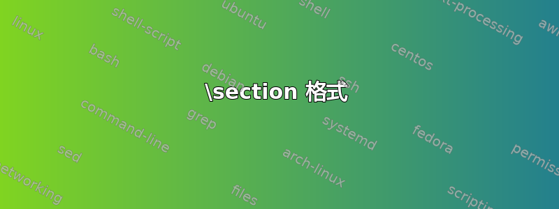 \section 格式