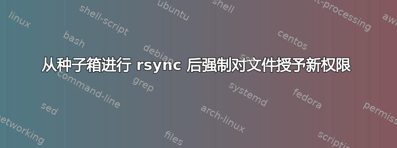 从种子箱进行 rsync 后强制对文件授予新权限