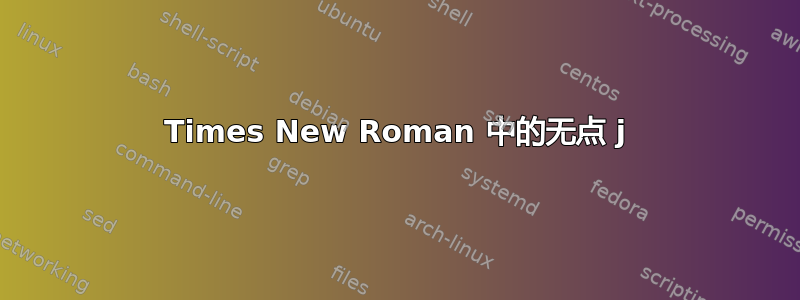 Times New Roman 中的无点 j