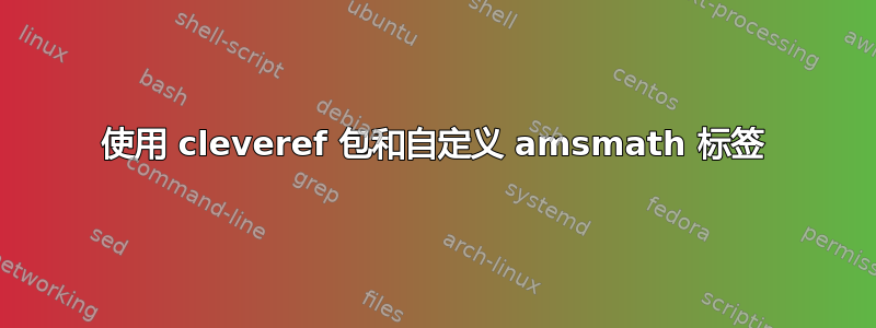 使用 cleveref 包和自定义 amsmath 标签