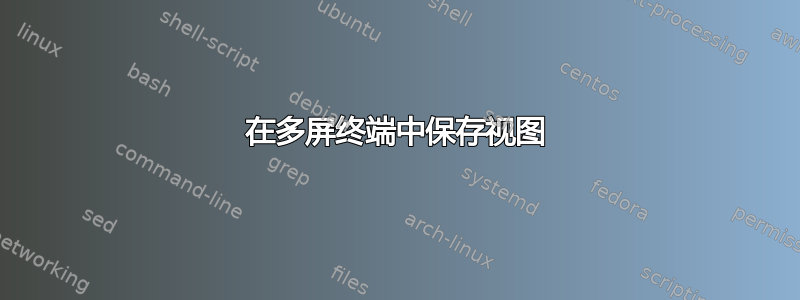 在多屏终端中保存视图