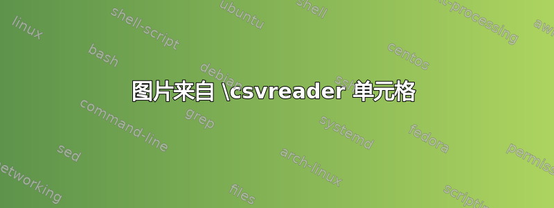 图片来自 \csvreader 单元格