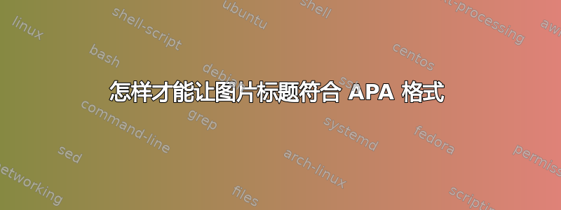 怎样才能让图片标题符合 APA 格式