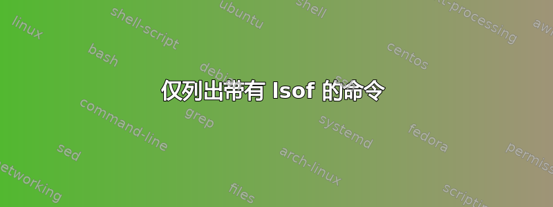 仅列出带有 lsof 的命令