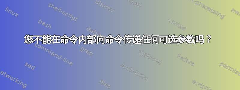 您不能在命令内部向命令传递任何可选参数吗？