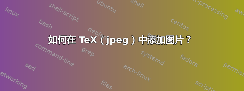 如何在 TeX（jpeg）中添加图片？