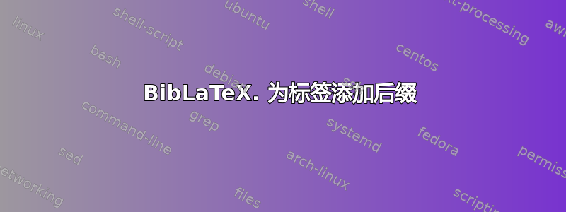 BibLaTeX. 为标签添加后缀