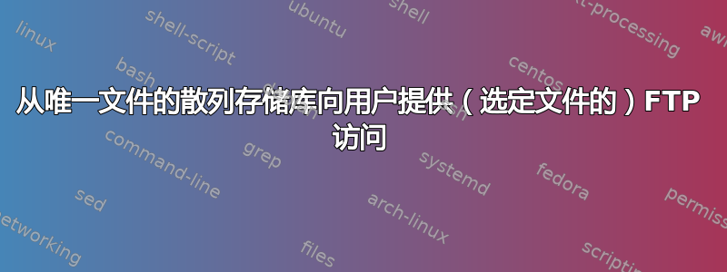 从唯一文件的散列存储库向用户提供（选定文件的）FTP 访问