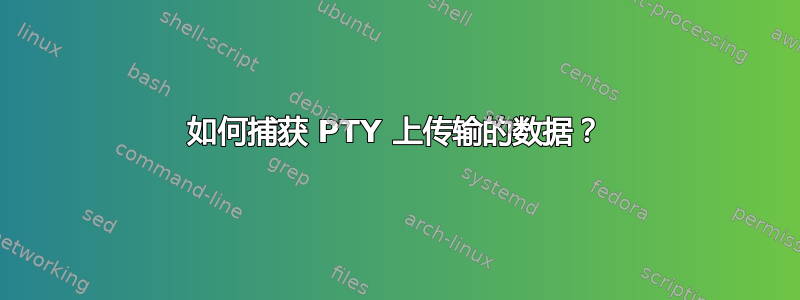 如何捕获 PTY 上传输的数据？