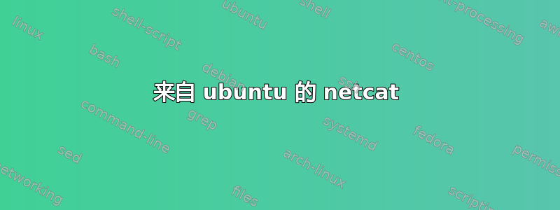 来自 ubuntu 的 netcat