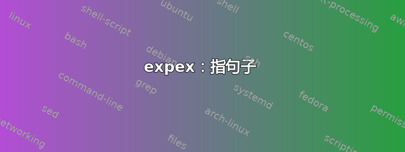 expex：指句子