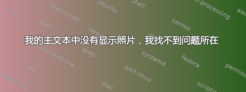 我的主文本中没有显示照片，我找不到问题所在