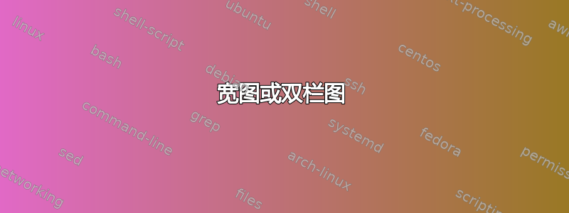 宽图或双栏图