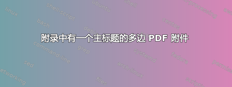 附录中有一个主标题的多边 PDF 附件