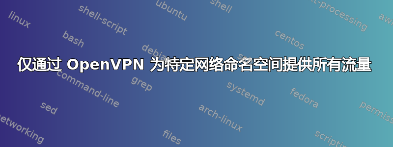 仅通过 OpenVPN 为特定网络命名空间提供所有流量