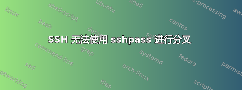 SSH 无法使用 sshpass 进行分叉