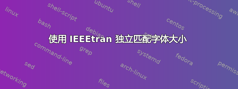 使用 IEEEtran 独立匹配字体大小