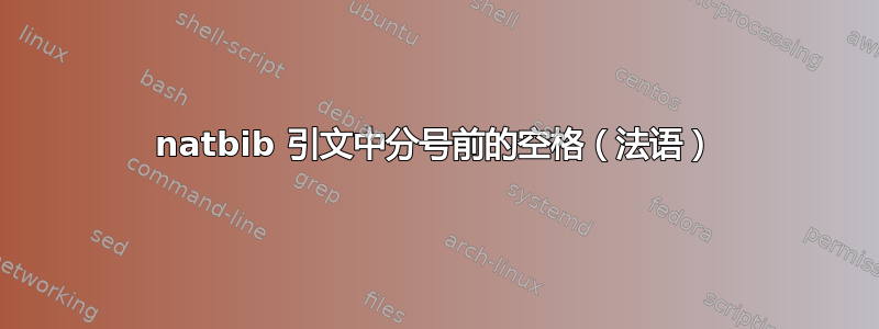 natbib 引文中分号前的空格（法语）