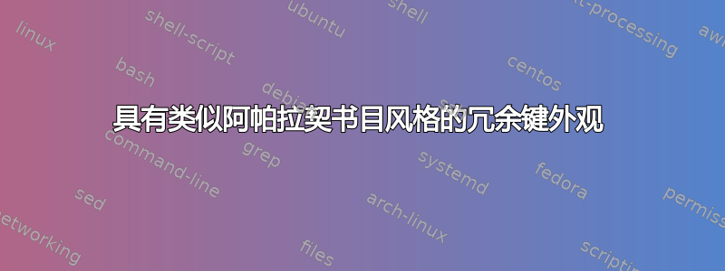 具有类似阿帕拉契书目风格的冗余键外观