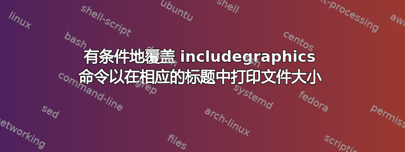 有条件地覆盖 includegraphics 命令以在相应的标题中打印文件大小