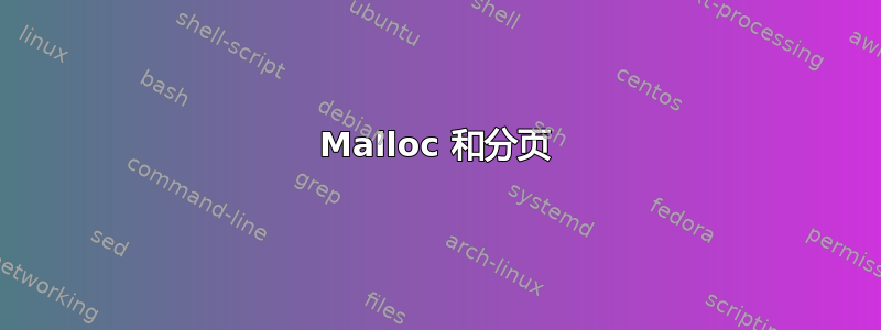 Malloc 和分页