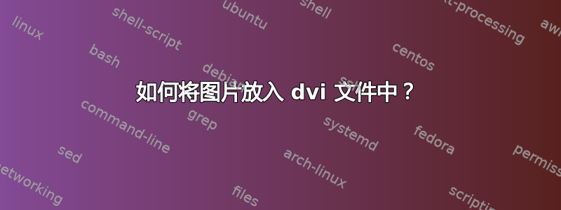 如何将图片放入 dvi 文件中？